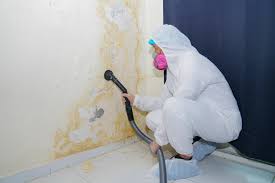 Best Emergency Mold Remediation  in Avondale Estates, GA